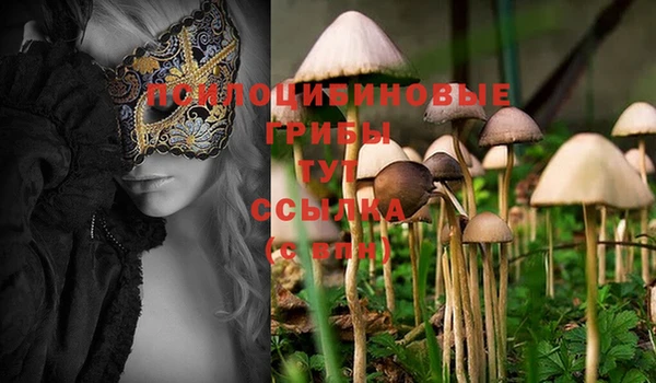 MDMA Абдулино