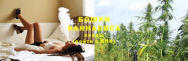 ГАЛЛЮЦИНОГЕННЫЕ ГРИБЫ Алзамай