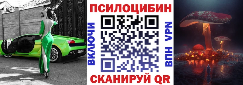 где купить наркотик  Новокузнецк  площадка официальный сайт  Псилоцибиновые грибы Cubensis 